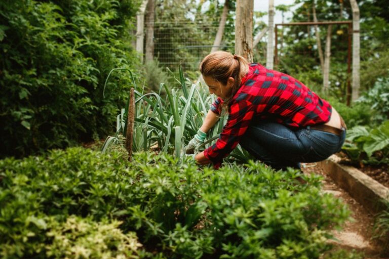 Garden Companion Planting: Complete Guide to Plant Partnerships