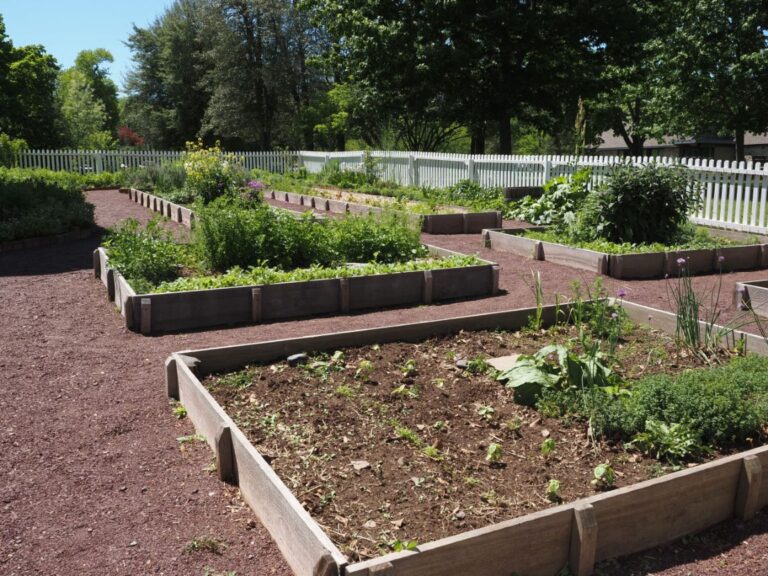 Raised Beds vs. Ground Planting: Which Saves More Money Long-Term?