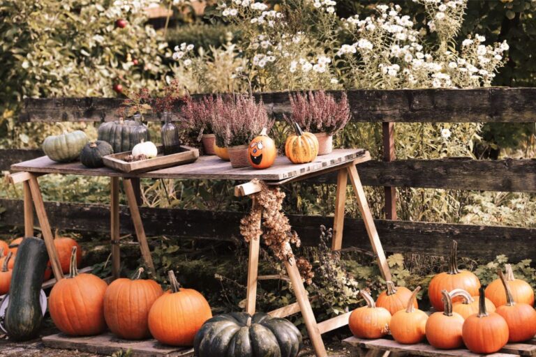 Halloween Garden Decorations: 25 Outdoor Ideas That Work